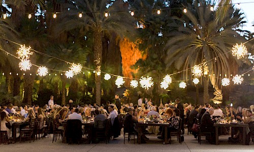 The wedding dinner reception in a serene and lush grove of trees.