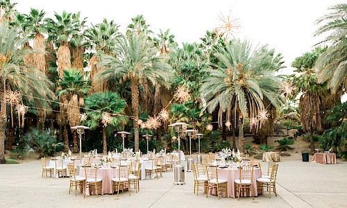 The Palm Garden provides an outdoor dinner surrounded by a grove of palm trees.