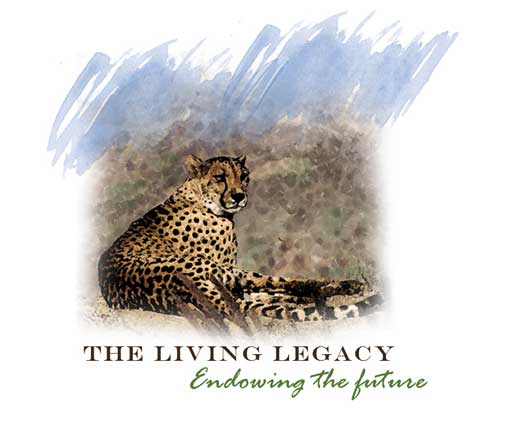 The Living Legacy logo