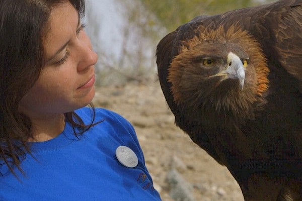 Get up close at The Living Desert Zoo and Gardens. Click for more details.