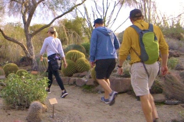 Nature and hiking trails at the Living Desert Zoo and Gardens. Click for more details.