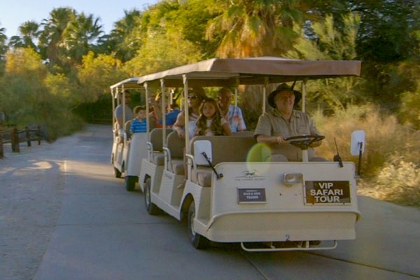 Private safari tours at The Living Desert Zoo and Gardens. Click for more details.