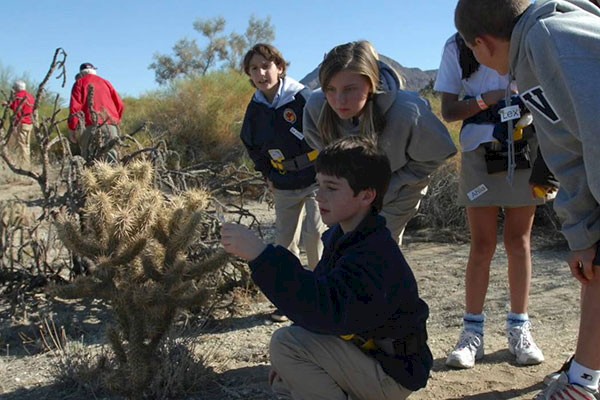 The Living Desert Zoo and Gardens is a leader in conservation and education efforts for the Desert Tortoise.