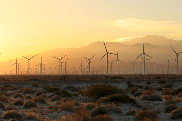 Resource sustainability at The Living Desert Zoo and Gardens.