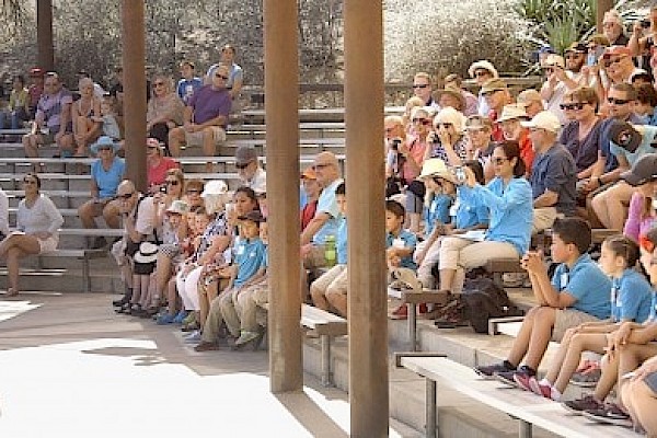 Bring class field trips to The Living Desert Zoo and Gardens. Click for more details.