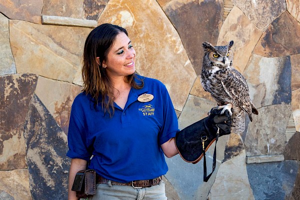 Wildlife on Wheels at The Living Desert Zoo and Gardens. Click for more details.
