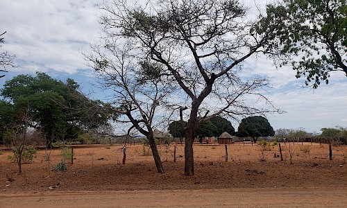 Zimbabwe | Drought