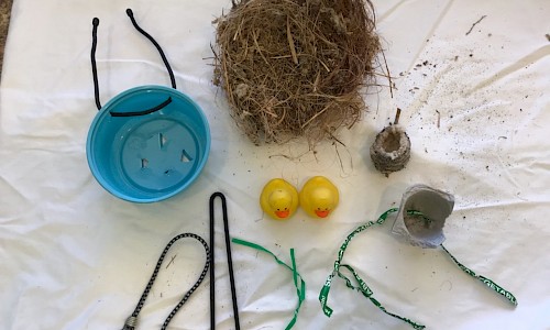 Re-nesting supplies plus a cup shaped bird nest and hummingbird nest for scale.