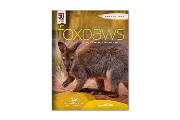 Foxpaws | Summer 2020