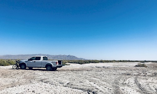 A layer of salt formed on the topsoil adjacent Salt Creek