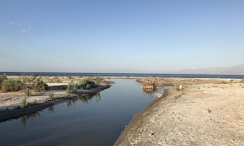 Salt Creek’s terminus into the Salton Sea