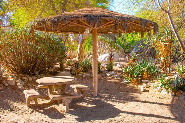 Picnic Areas at The Living Desert