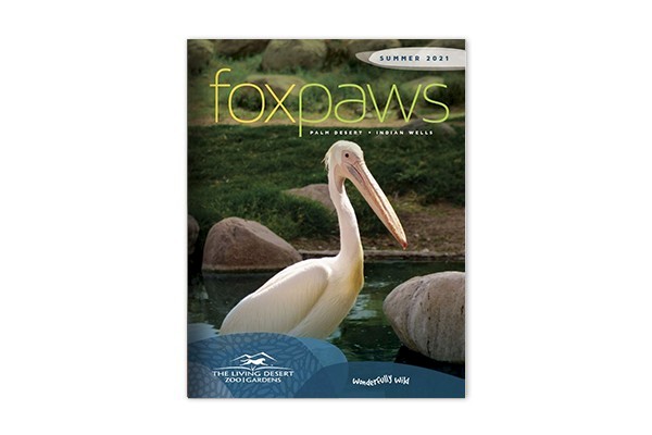 Foxpaws Magazine Summer 2021