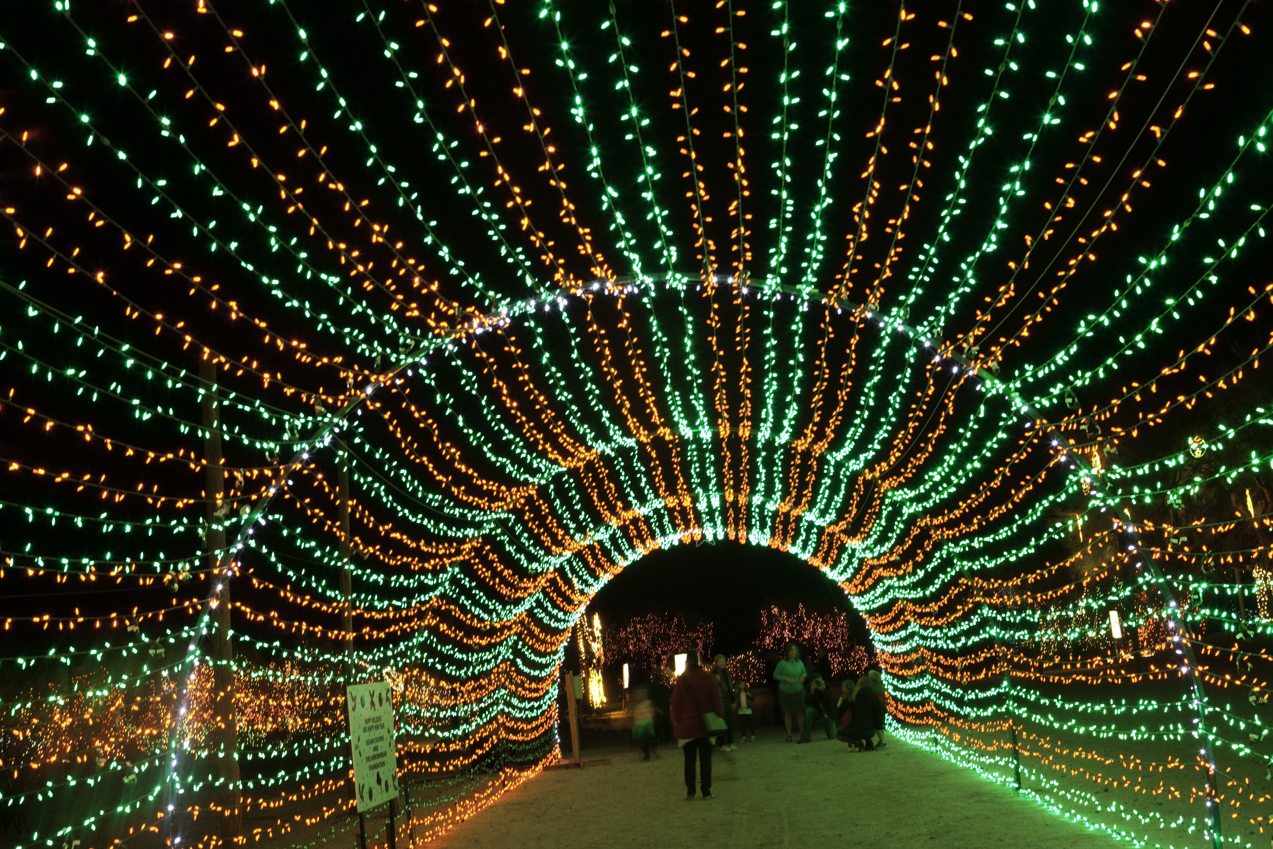 WildLights The Living Desert Zoo and Gardens